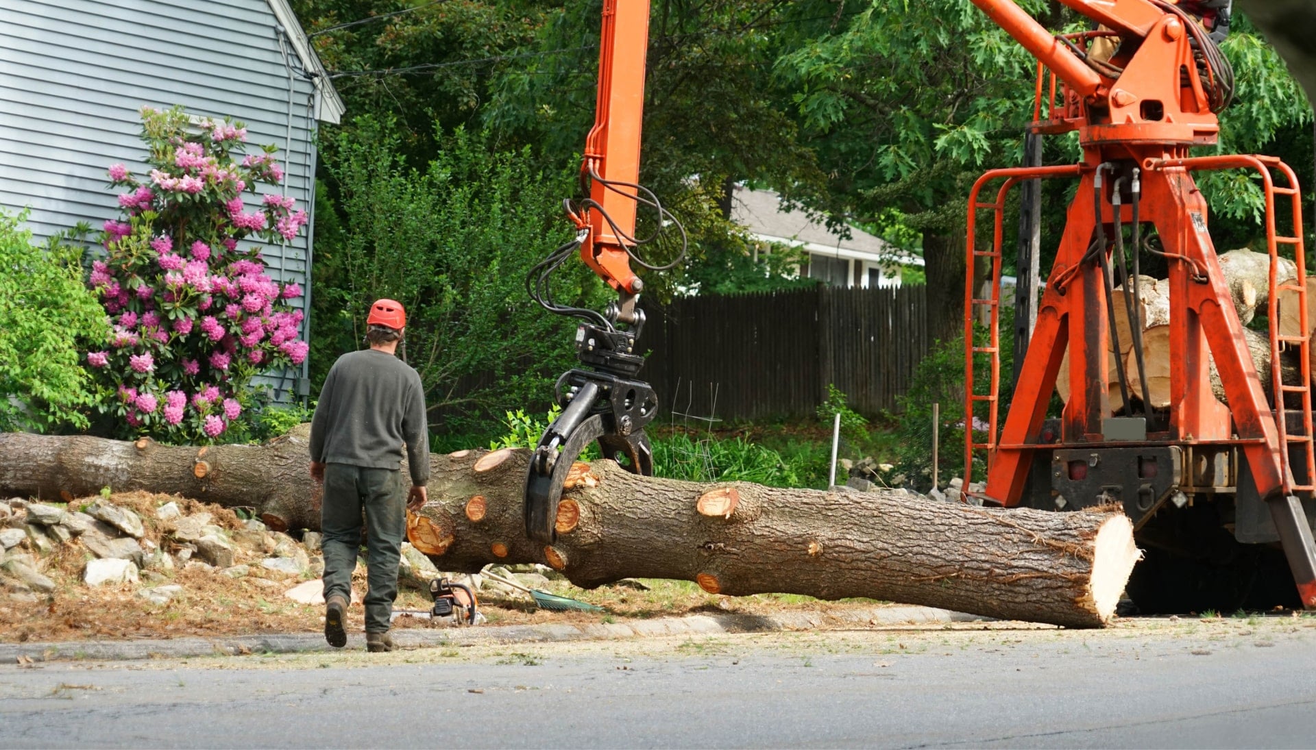 Local partner for Tree removal services in Idaho Falls