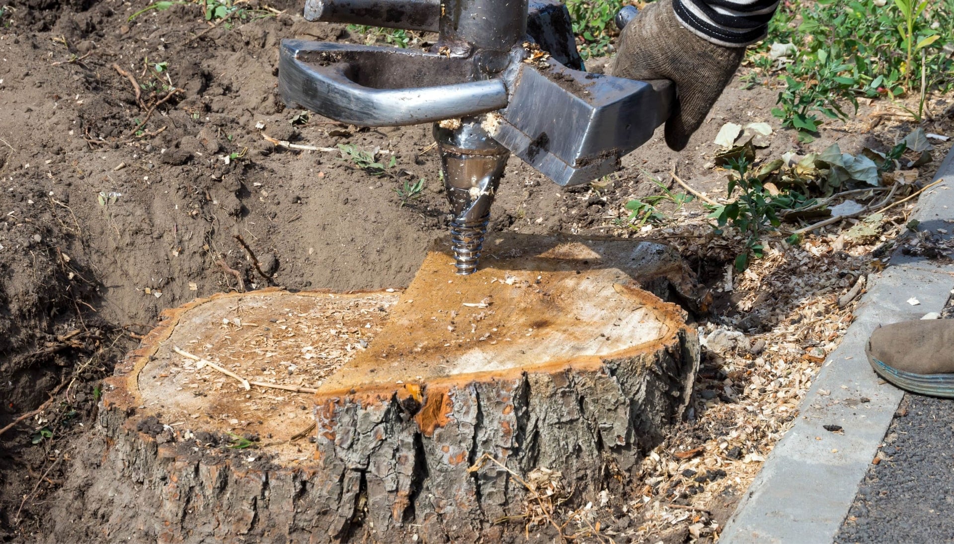 Idaho Falls Tree stump removal